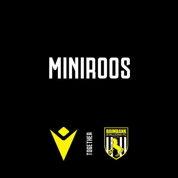 BSFC MINIROOS PACKAGE